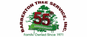 Barberton Tree logo