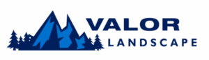 Valor Header logo